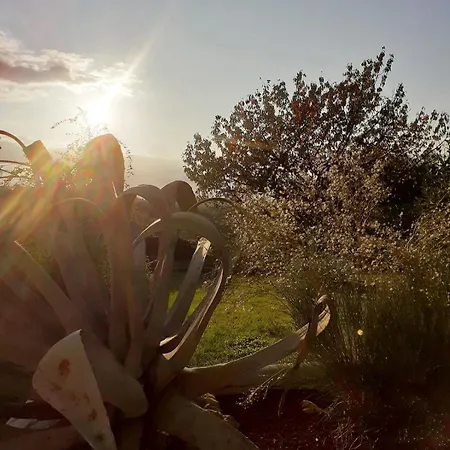 Sofia 1714 Марти