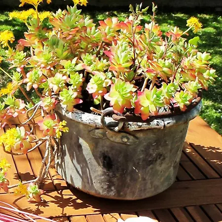 Вилла Sofia 1714 *